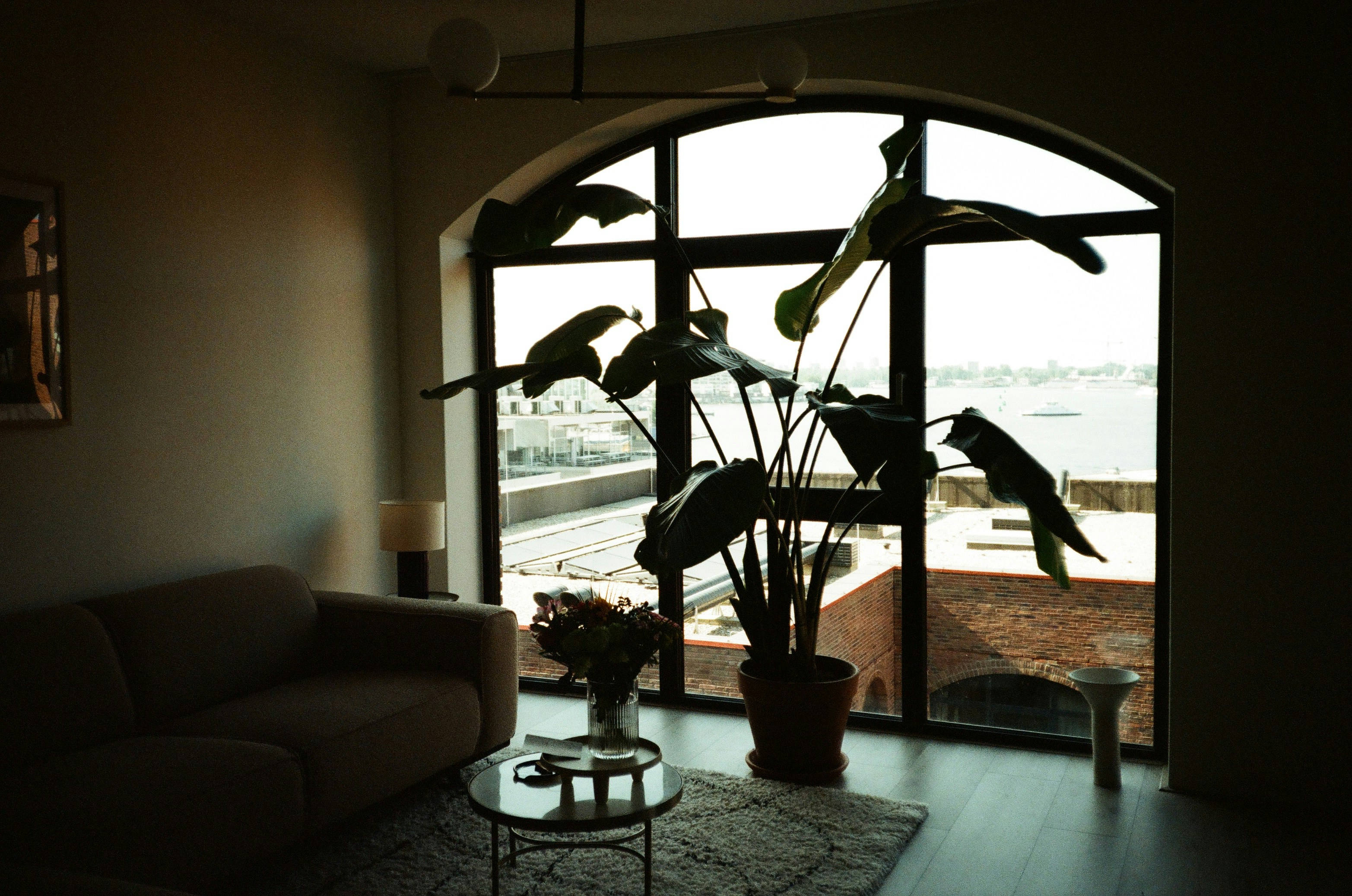 NYC loft with arched window and large houseplant